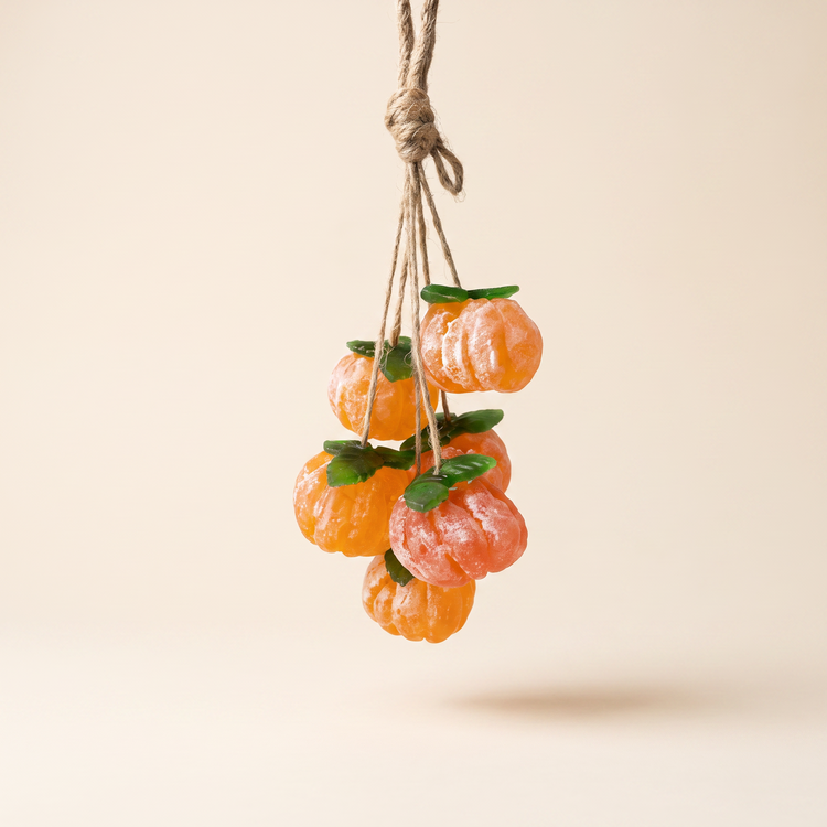 Fruit Soaps collection - LR Craft Soap & Candles