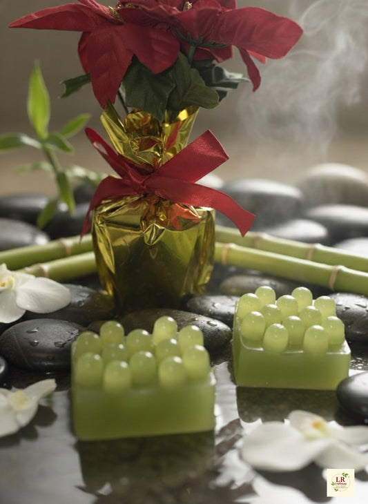 Cucumber and aloe soap bar with holiday poinsettia on spa stones.”
